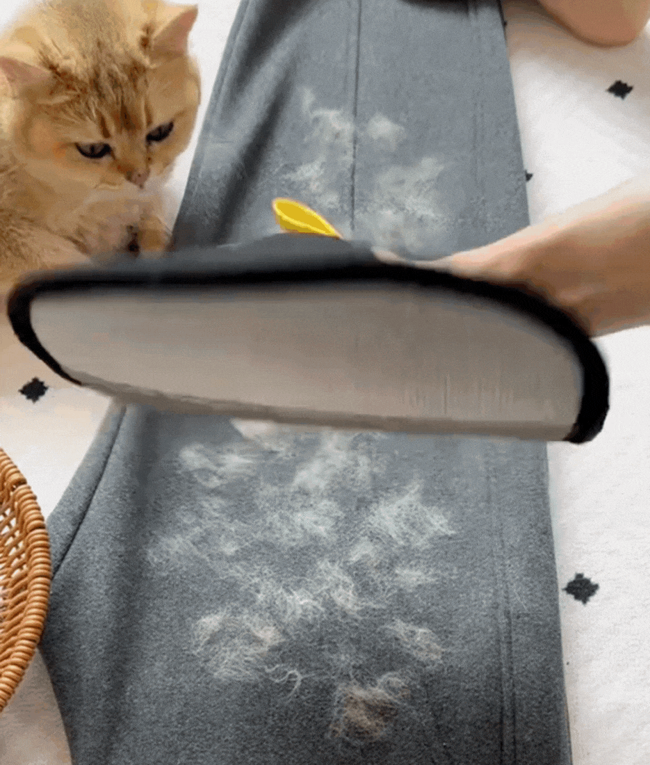 CleanPaw in Anwendung